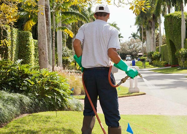 About Odum GA Pest Control Pros